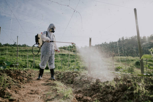 Best Pest Control Cost  in Rock Creek, MN