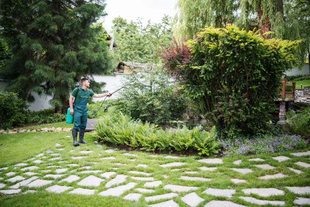 Best Termite Control Services  in Rock Creek, MN