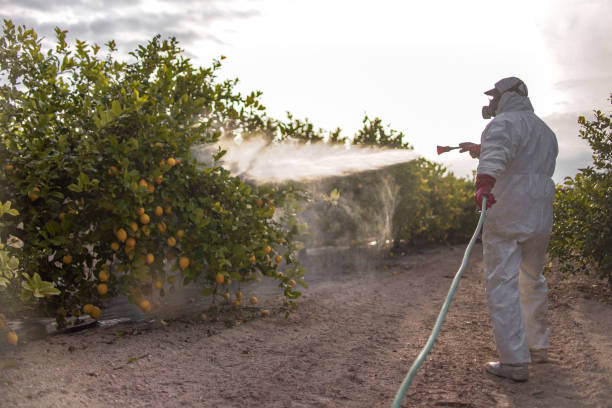 Trusted Rock Creek, MN Pest Control Experts