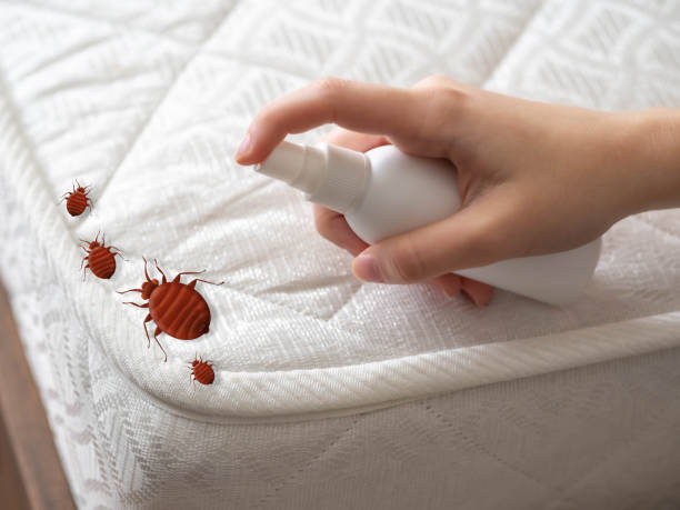 Best Pest Removal Services  in Rock Creek, MN