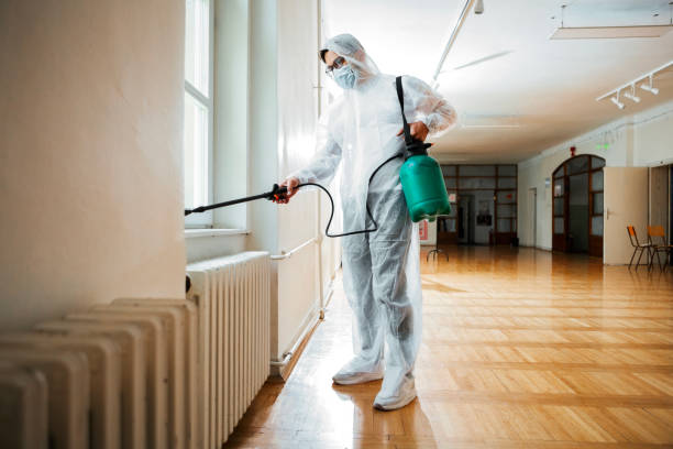 Best Affordable Pest Control Services  in Rock Creek, MN